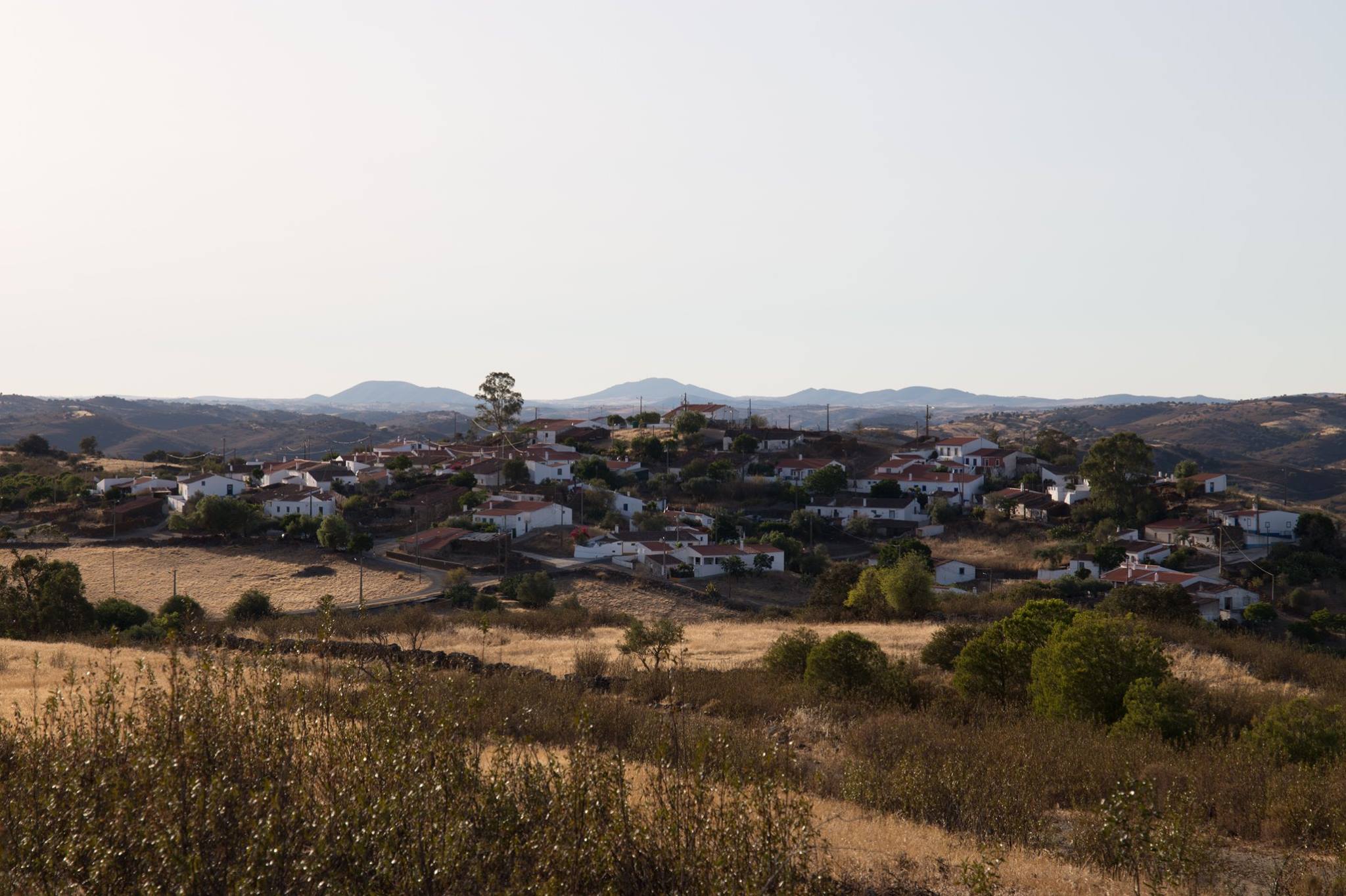 Sul Informação - O lado virtuoso dos territórios de baixa densidade