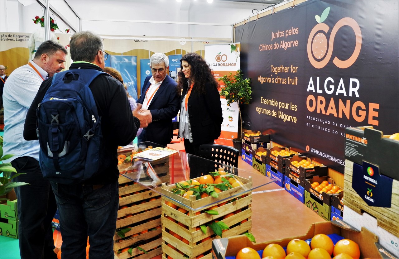 Sul Informação - Produtores de citrinos do Algarve juntam-se a pensar na internacionalização