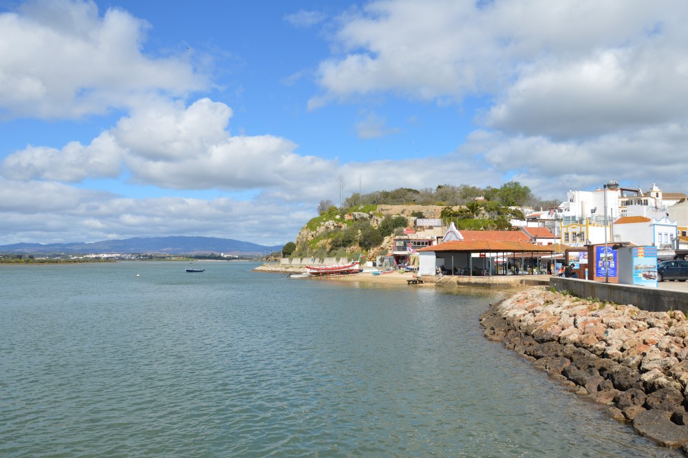 Sul Informação - PSD de Portimão aplaude inauguração do parque de merendas em Alvor