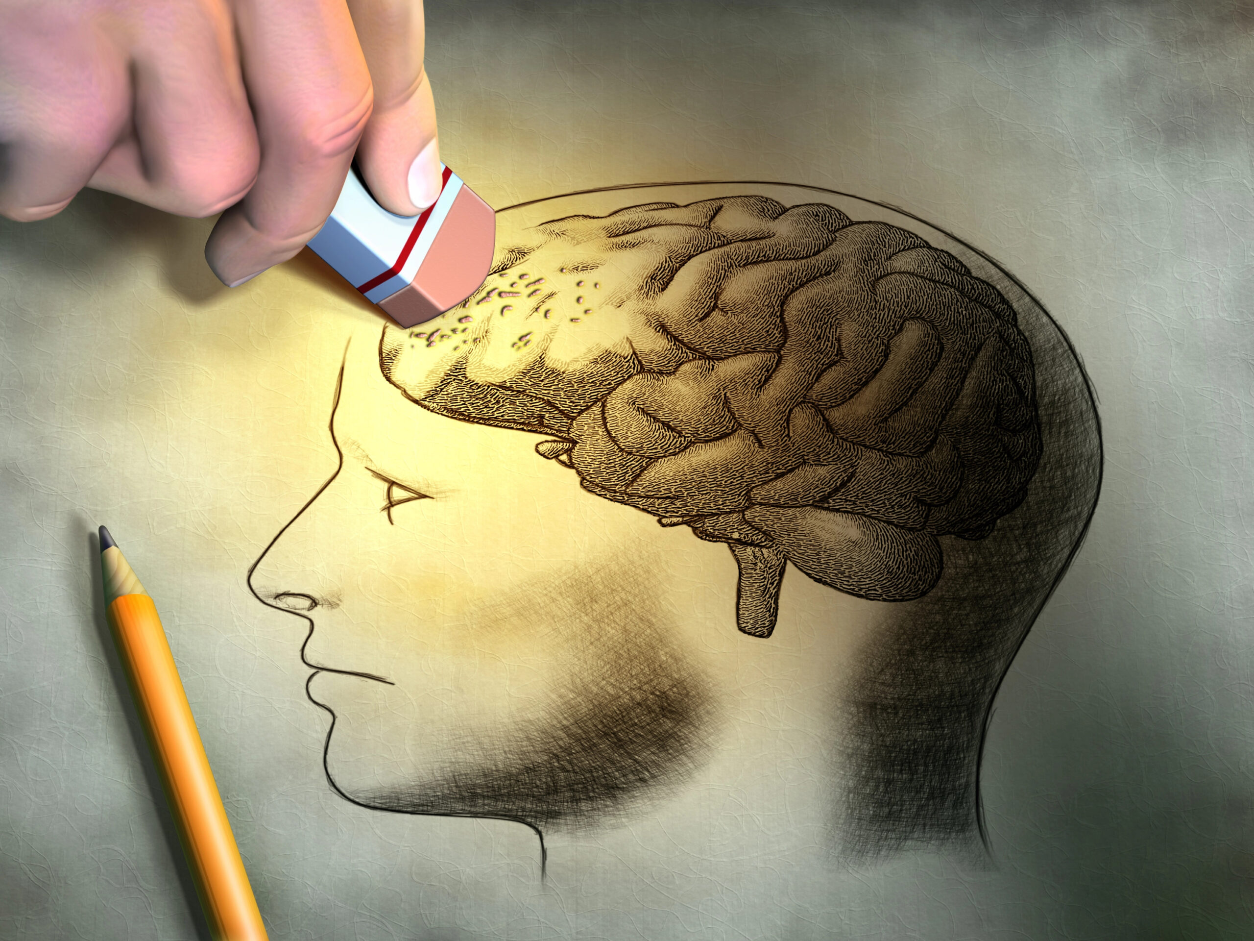 Sul Informação - Exposição a poluentes tem impacto nas doenças neurodegenerativas