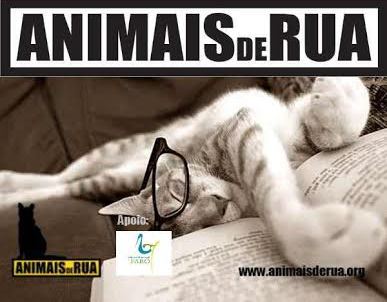 Sul Informação - Feira do Livro Usado  em Faro serve para ajudar animais