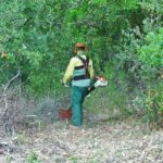 Sul Informação - Caminho antigo entre as Caldas de Monchique e a Picota redescoberto para acolher turistas de natureza