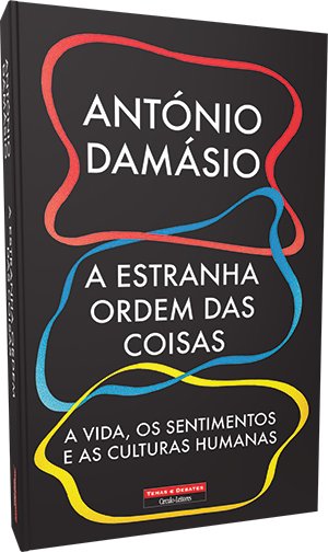 Sul Informação