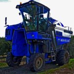 Sul Informação - No Alentejo, há quem mantenha a tradição de «produzir dos melhores azeites do mundo»