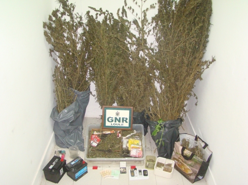 Sul Informação - GNR detém traficante de droga em flagrante delito em Loulé