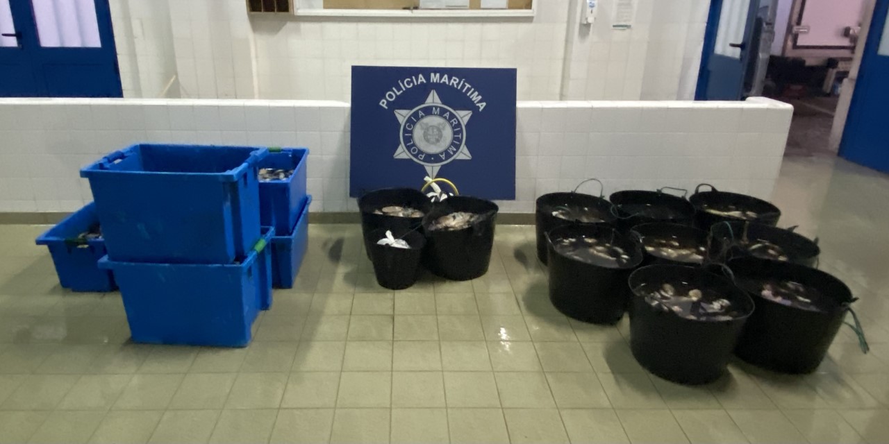 Sul Informação - Polícia Marítima apreende 500 quilos de polvo em Santa Luzia