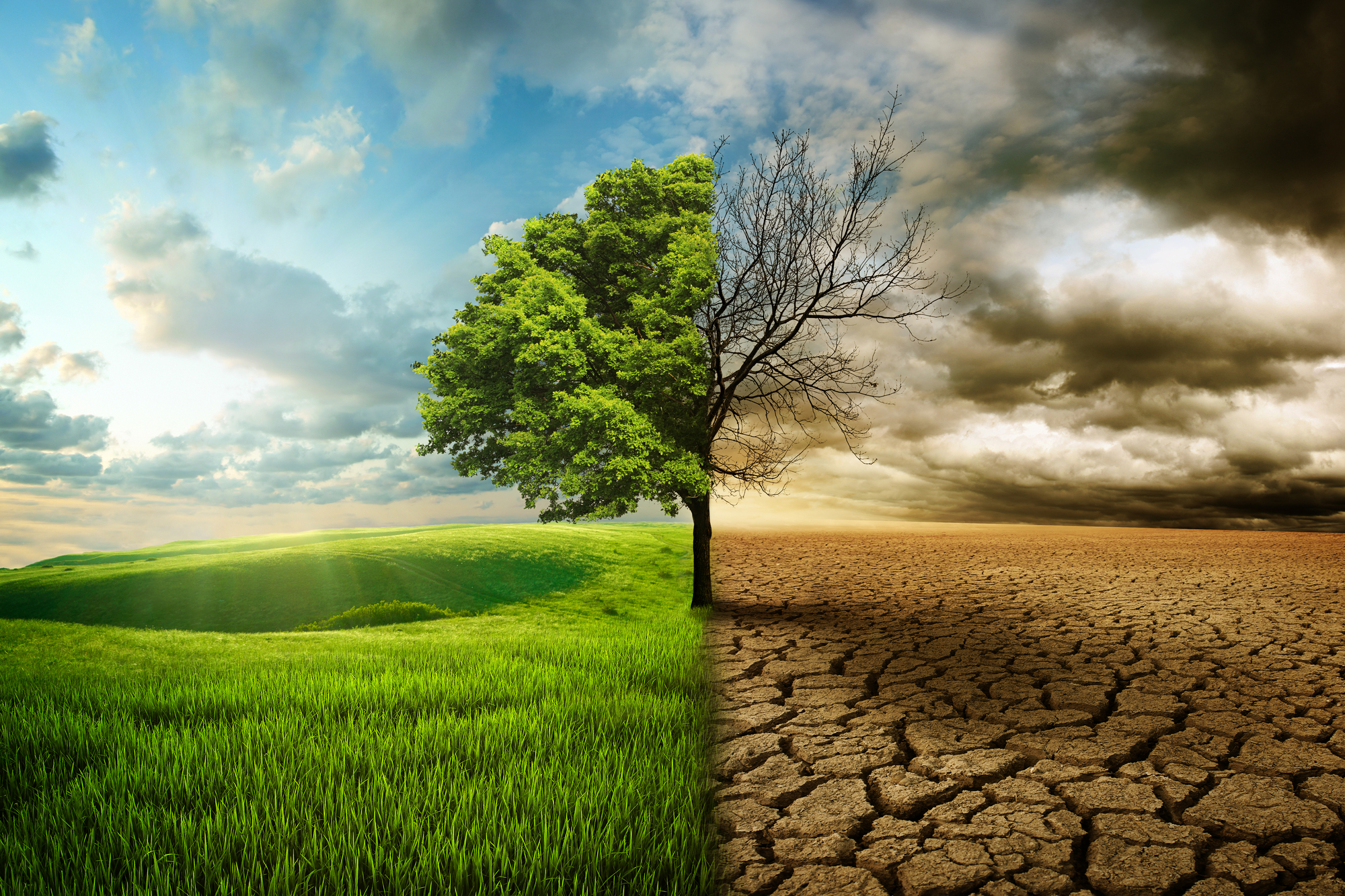 Sul Informação - Faro é um dos sete municípios a fazer a «Viagem pelo Clima»