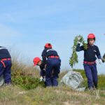 Sul Informação - 200 jovens escuteiros e bombeiros arrancaram toneladas de chorão das dunas de Alvor