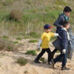 Sul Informação - 200 jovens escuteiros e bombeiros arrancaram toneladas de chorão das dunas de Alvor