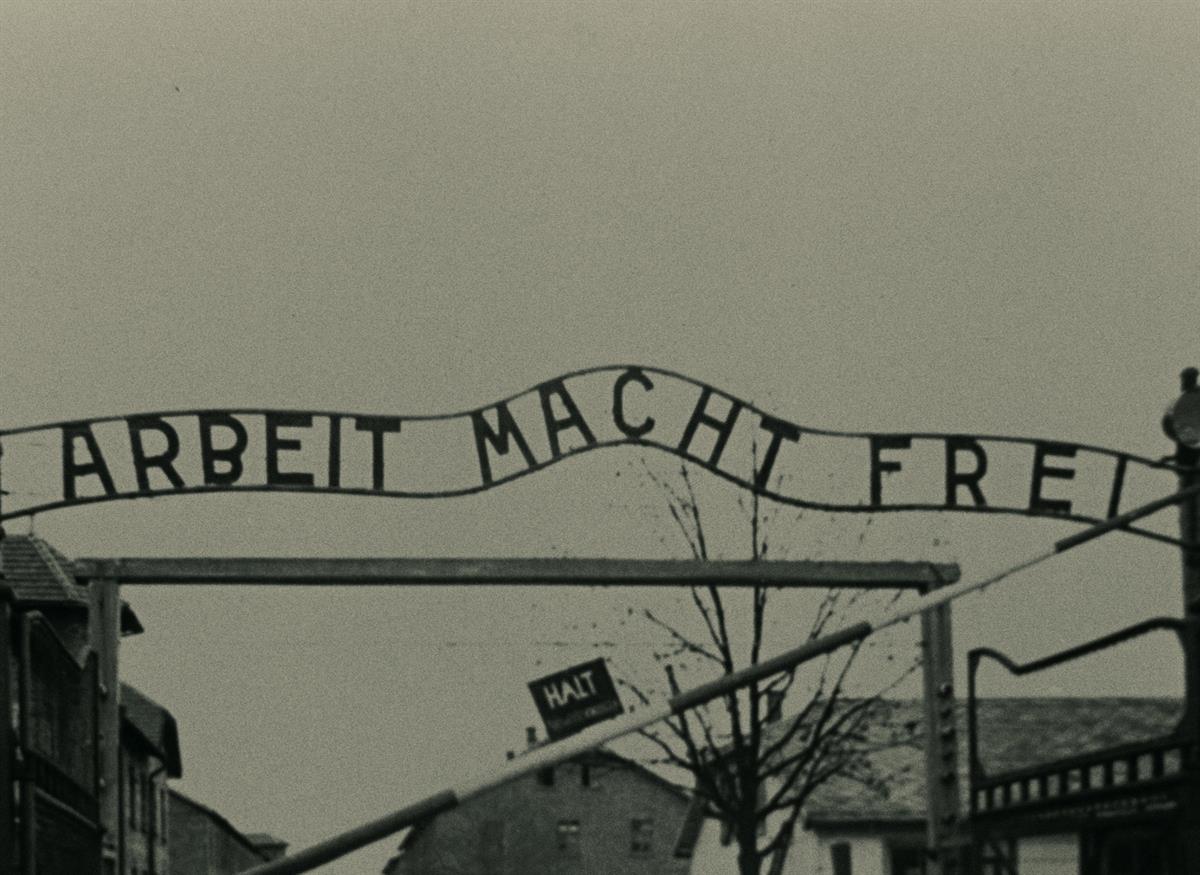 Sul Informação - Grândola promove Mostra de Cinema Documental para assinalar 75 anos da libertação de Auschwitz