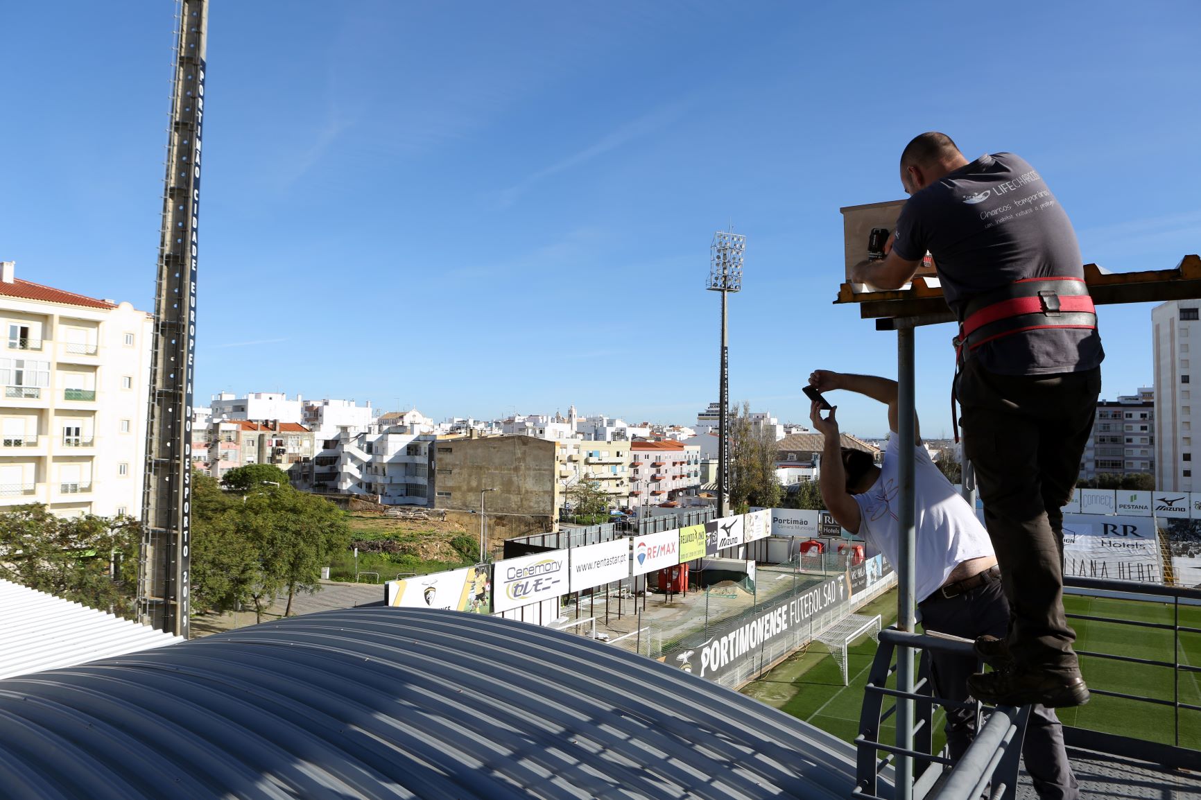 Sul Informação - Portimão já começou a instalar caixas-ninho para serem alojamento local para aves