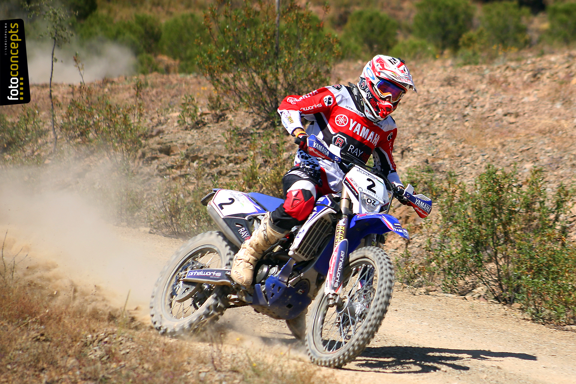 Sul Informação - Baja Cidade Europeia do Desporto leva adrenalina a Loulé, Alcoutim e Almodôvar