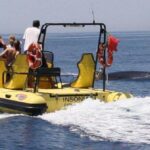 Sul Informação - Empresa Dream Wave avistou oito espécies de cetáceos na costa algarvia em 2016 (com fotos)