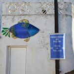 Sul Informação - Walk & Art Fest em Barão de São João é muito mais que só caminhar
