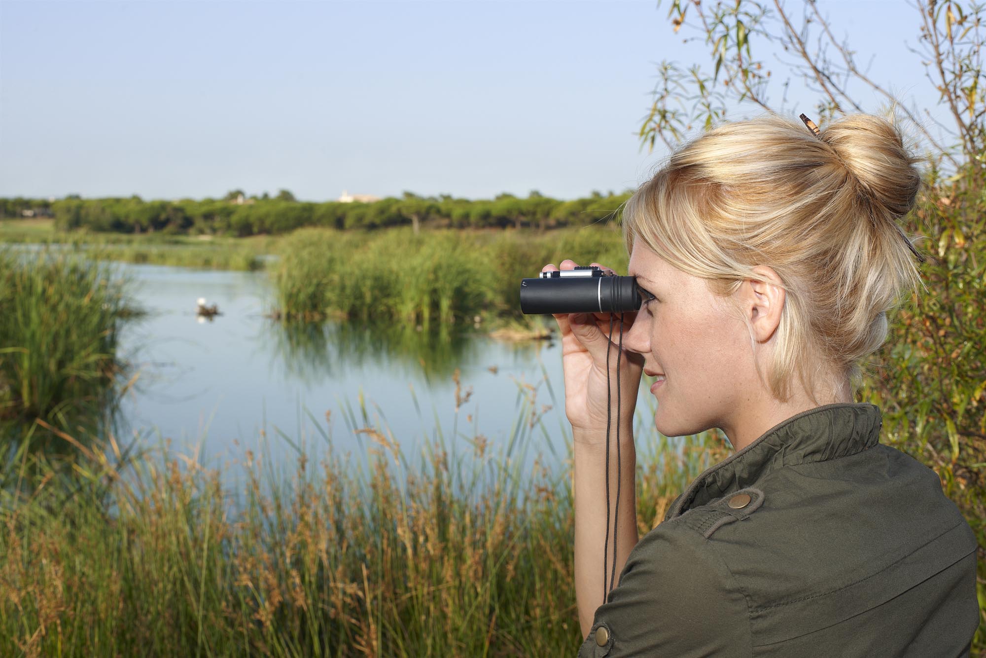 Sul Informação - Potencial do Algarve para a observação de aves promovido em feira no Reino Unido