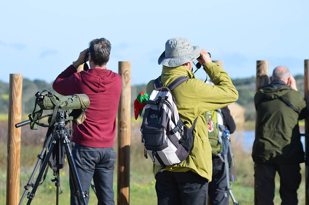Sul Informação - Algarve promove-se enquanto destino para “birdwatchers” em Espanha