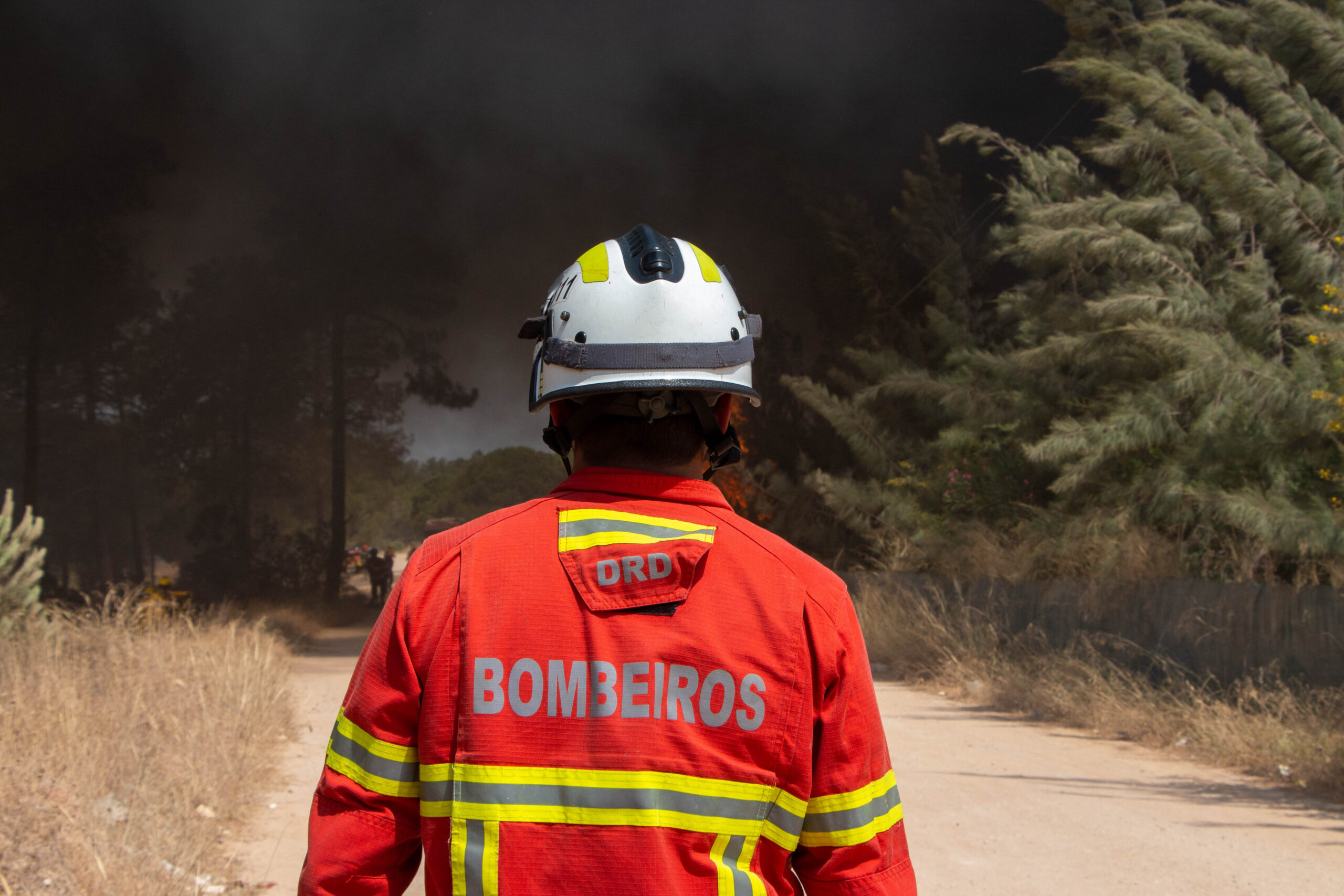 Sul Informação - Incêndios: Marcelo pede que cidadãos mantenham «comportamentos preventivos»