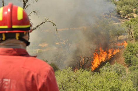 Sul Informação - Câmara de Monchique dá apoio anual de 210 mil euros aos Bombeiros