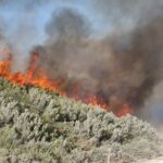 Sul Informação - «Próximas horas vão ser fundamentais» para controlar de vez incêndio de Monchique (com fotos)