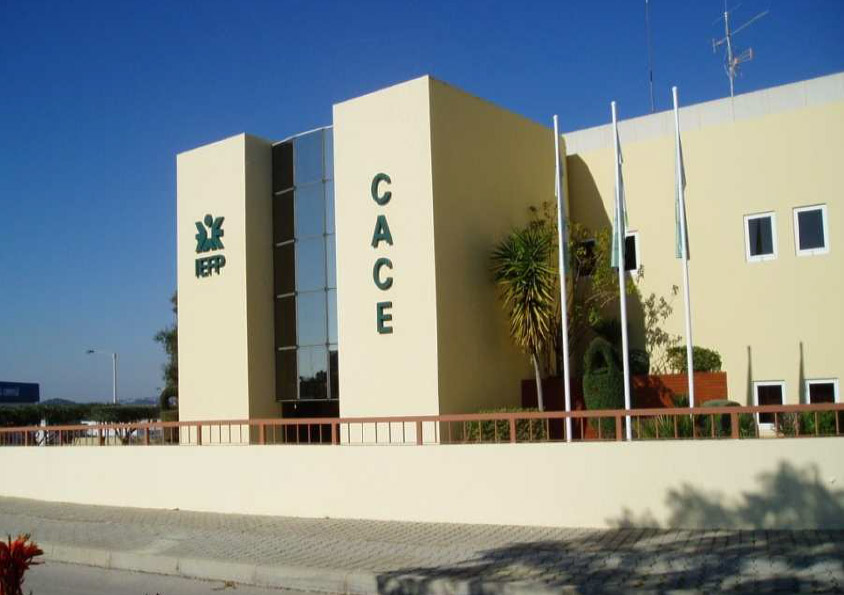 Sul Informação - Ninho de empresas de Loulé muda de gerência e quer atrair o mundo para o Algarve