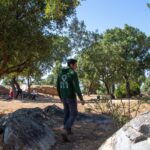 Sul Informação - À volta do Castelo nasceu uma nova vida para Alferce