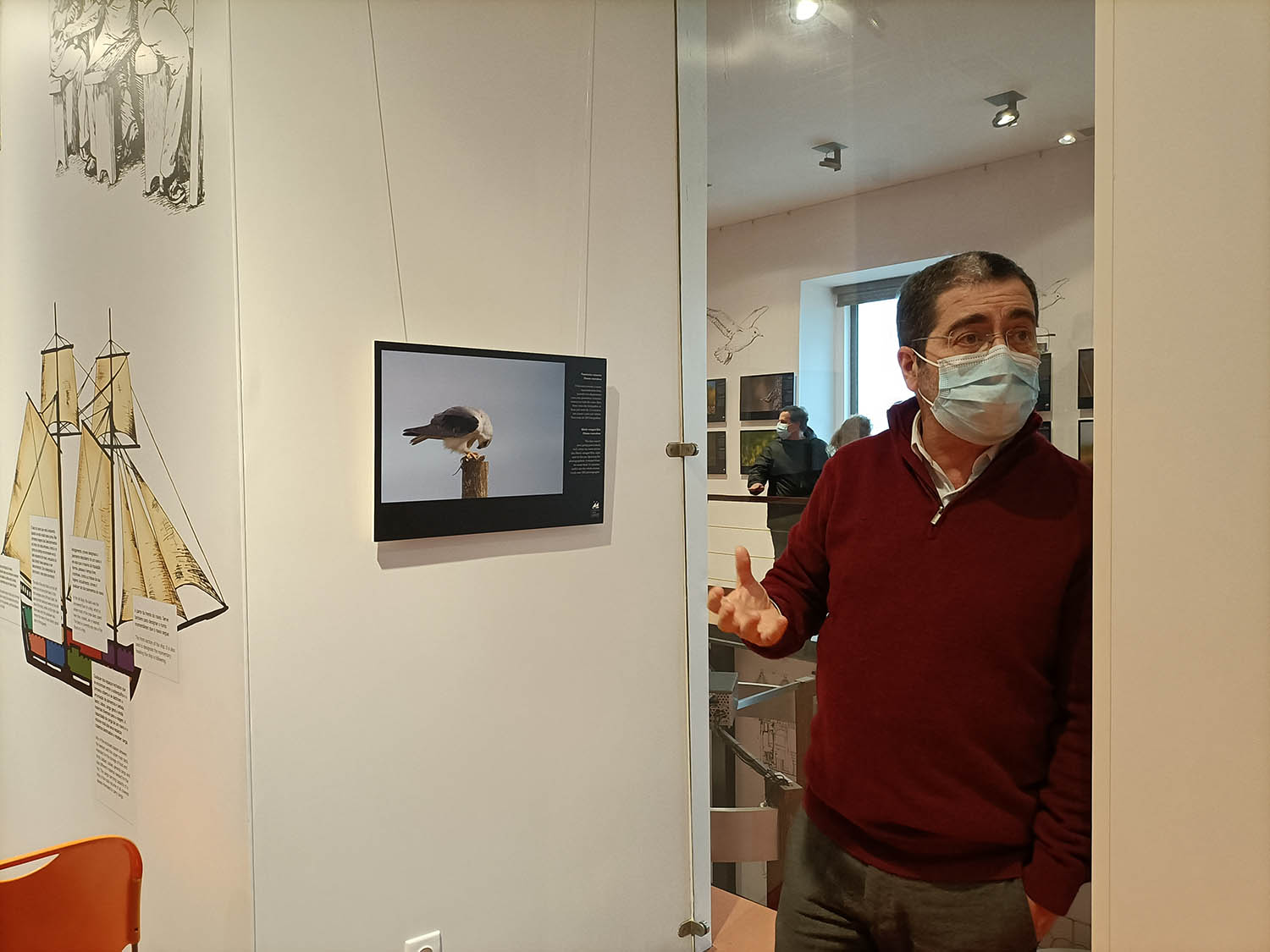 Sul Informação - «Isto é uma espécie de doença que se pega»: exposição de fotografia de avifauna no CCV de Lagos