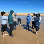 Sul Informação - Alunos de Lisboa e Setúbal puseram “Mãos na Massa” na Ria Formosa