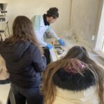 Sul Informação - Alunos de Lisboa e Setúbal puseram “Mãos na Massa” na Ria Formosa