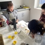 Sul Informação - Alunos de Lisboa e Setúbal puseram “Mãos na Massa” na Ria Formosa
