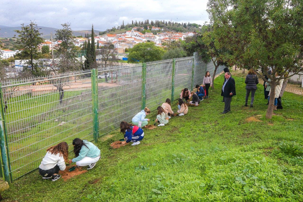 Sul Informação - Albufeira celebra Dia da Floresta Autóctone com plantação de árvores