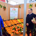 Sul Informação - Abertura da Mostra Silves Capital da Laranja marcada por protestos de agricultores