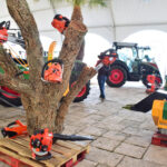 Sul Informação - Abertura da Mostra Silves Capital da Laranja marcada por protestos de agricultores