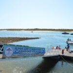 Sul Informação - Movimento Cívico “Por uma Ponte Pedonal para a praia de Cabanas” promove cordão humano