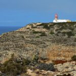 Sul Informação - Todos de cabeça no ar em Sagres para o Festival de Observação de Aves