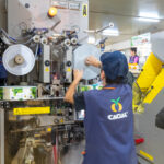 Sul Informação - Produção de citrinos no Algarve aumenta em 2022, mas seca é preocupação