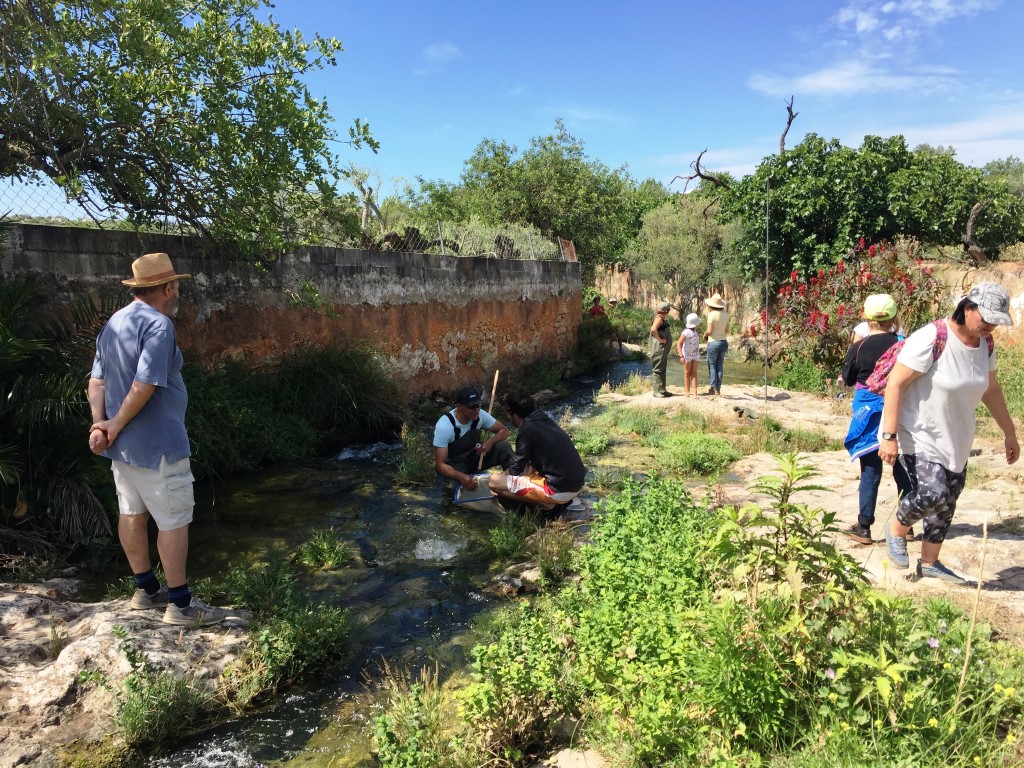 Sul Informação - Caminhada dá a conhecer o Cadoiço, «um dos segredos mais bem guardados de Loulé»