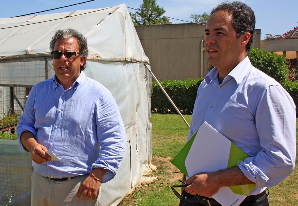 Sul Informação - Ex-dirigentes do IEFP de Faro exonerados pelo Governo põem Estado em Tribunal