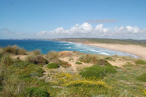 Sul Informação - Três praias da Costa Vicentina entre as 100 mais belas do mundo para o surf