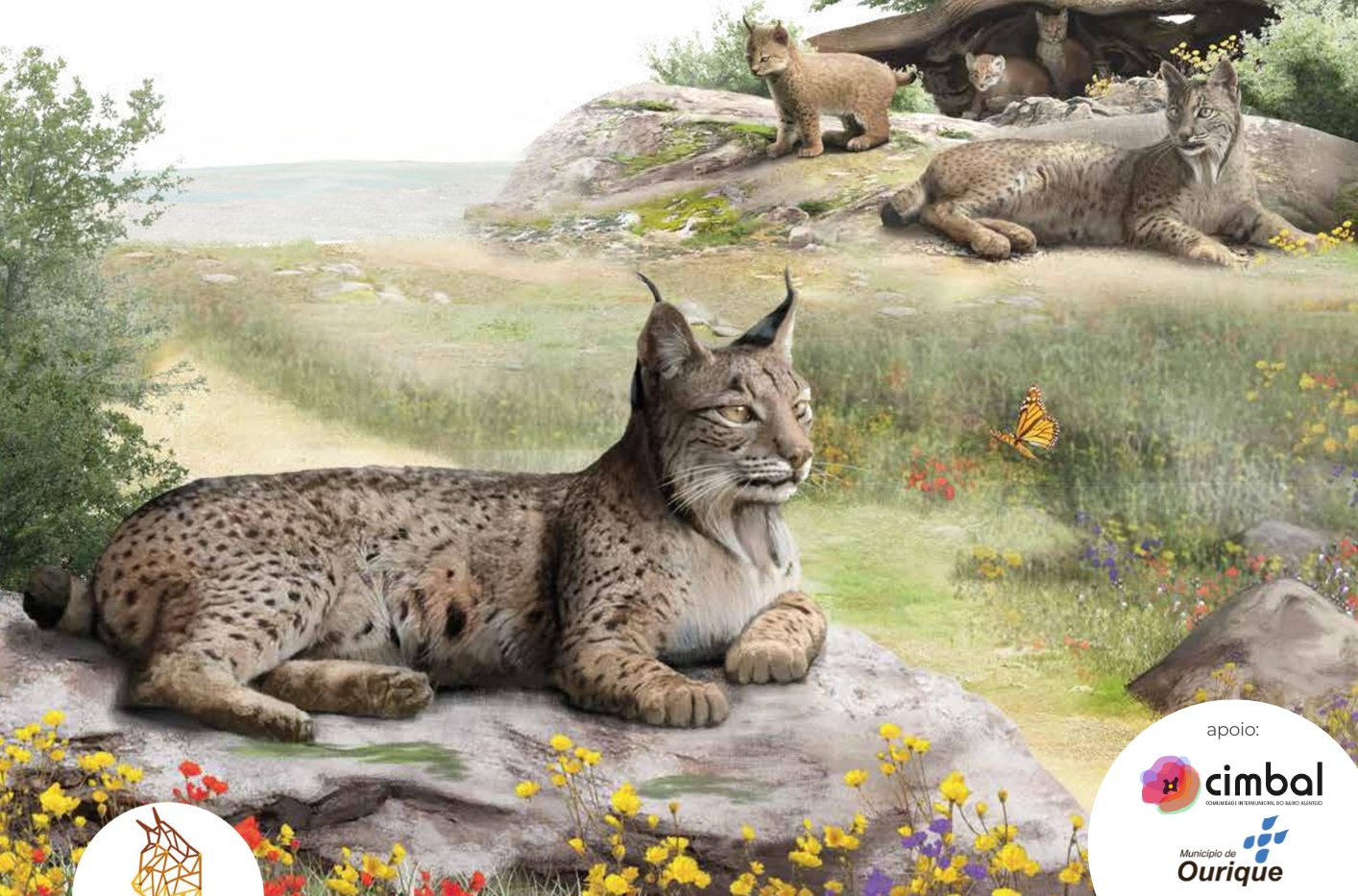 Sul Informação - Ourique acolhe exposição “O Lince na Península – Conectar Territórios e Consolidar Populações”