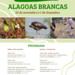 Sul Informação - Aves, insetos ou plantas: saiba como pode descobrir mais sobre as Alagoas Brancas