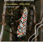 Sul Informação - Aves, insetos ou plantas: saiba como pode descobrir mais sobre as Alagoas Brancas