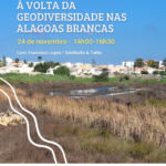Sul Informação - Aves, insetos ou plantas: saiba como pode descobrir mais sobre as Alagoas Brancas