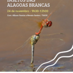 Sul Informação - Aves, insetos ou plantas: saiba como pode descobrir mais sobre as Alagoas Brancas