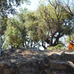 Sul Informação - Castelo de Alferce tinha uma entrada feita para dificultar a vida aos invasores