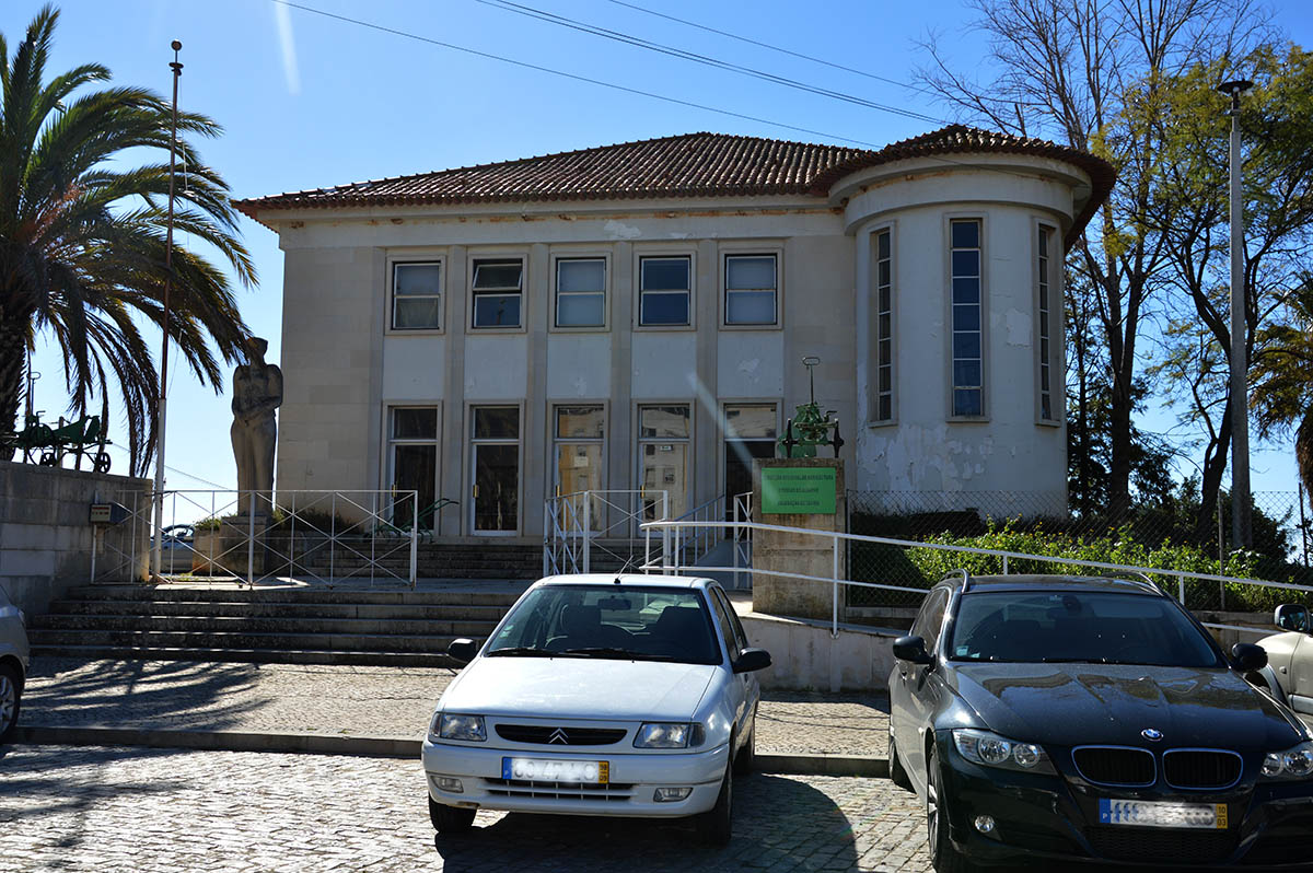 Sul Informação - DRAPAlg garante que estrada não afetará fruteiras do Centro Agrário de Tavira