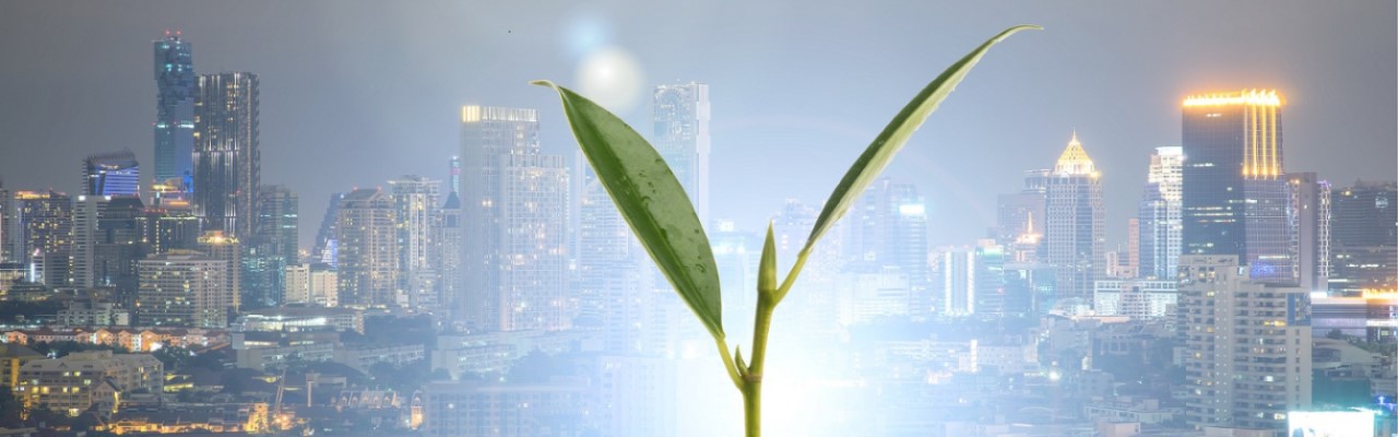 Sul Informação - Beja acolhe reunião de projeto europeu de promoção da agricultura urbana