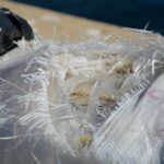 Sul Informação - Cocaína no valor de 20 milhões de euros apreendida em veleiro proveniente das Caraíbas (com fotos)