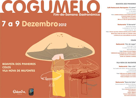 Sul Informação - Odemira propõe fim-de-semana Gastronómico do Cogumelo Silvestre