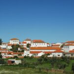 Sul Informação - Terras sem Sombra “mergulhou” em Colos, Odemira e na ponta da Carraca