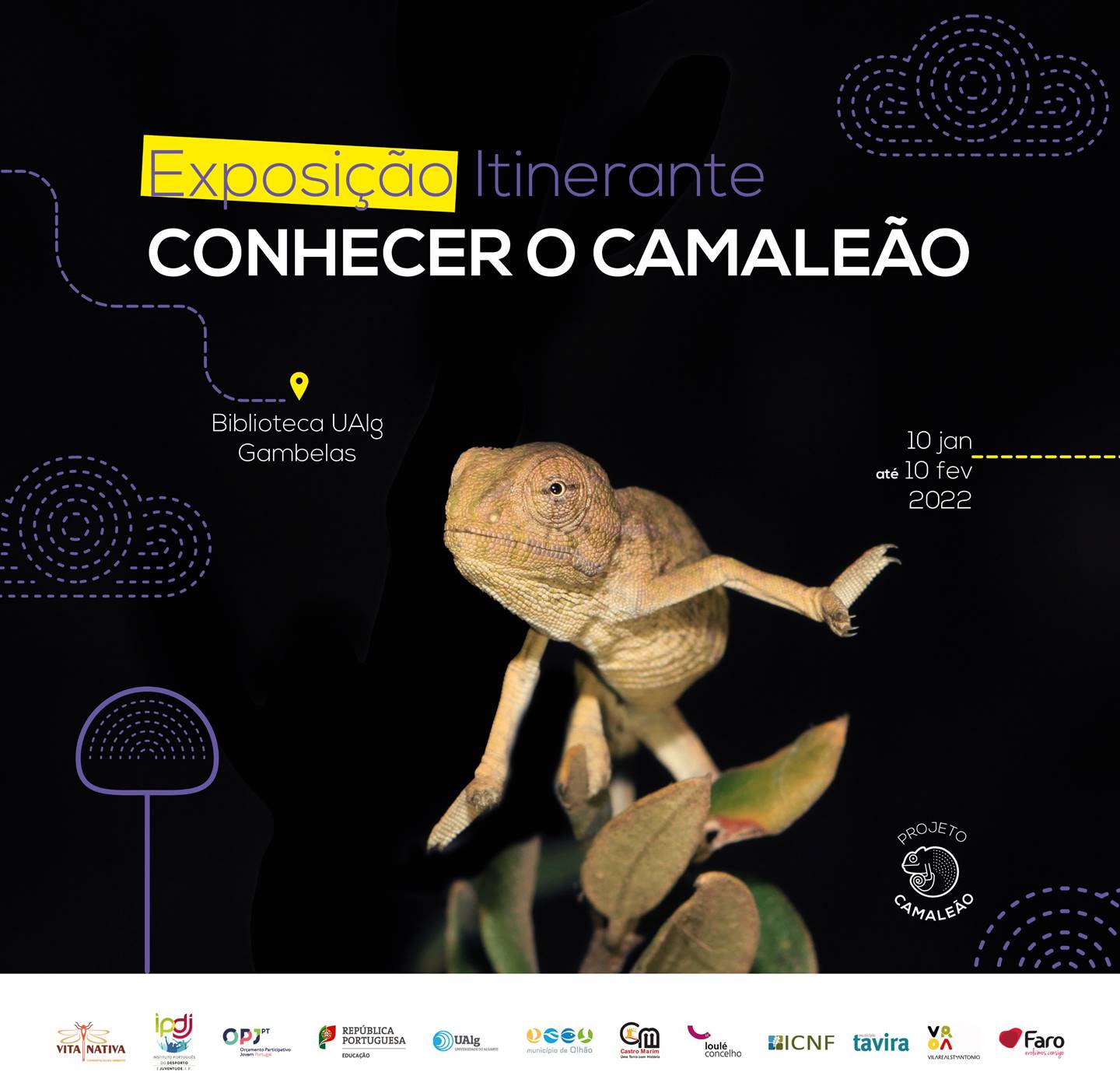 Sul Informação - Biblioteca de Gambelas da UAlg vai dar a “Conhecer o Camaleão”